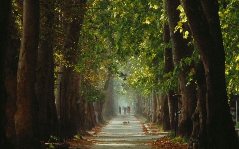 Dating After Divorce: Boundaries That Help You Start Again